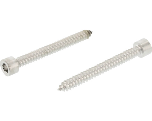 MARINETECH Plaatschroef 4,8x16 mm binnenzeskant RVS A4, 250 stuks Twee spaanplaatschroeven met inbuskop