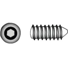Draadstift met binnenzeskant en kegelvormige punt