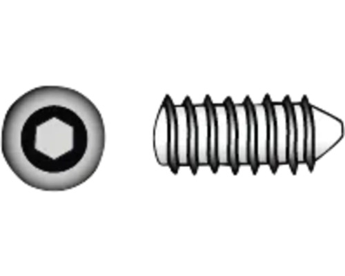 Draadstift met binnenzeskant en kegelvormige punt