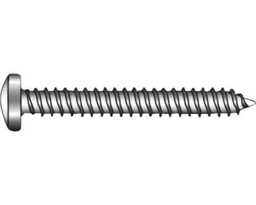 MARINETECH Plaatschroef 4,2x32 mm panhead TX20 RVS A4, 500 stuks Een enkele schroef met bolkop