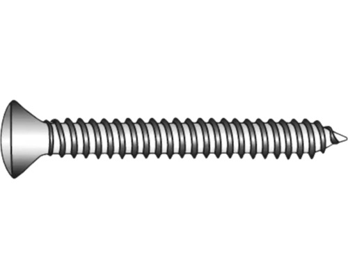 MARINETECH Plaatschroef 6,3x25 mm lenskop TX30 RVS A4, 200 stuks Houtschroef met verzonken kop