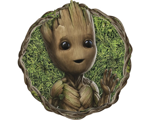 KOMAR Behangcirkel vlies DD1-081 Groot - Little Twig 128x128 cm Groot-figuur in lijst