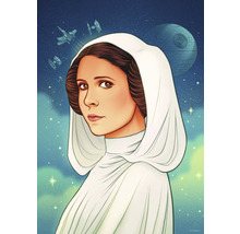 Schilderij van prinses Leia met ruimteschepen en de Death Star op de achtergrond