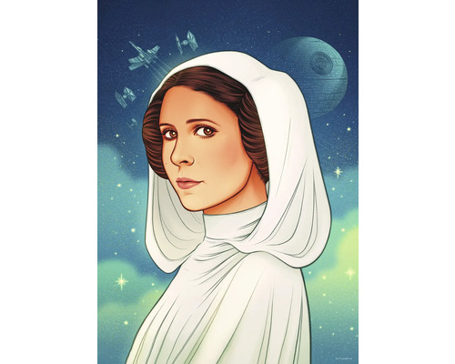 KOMAR Poster Star Wars - Princess of Alderaan 50x70 cm
