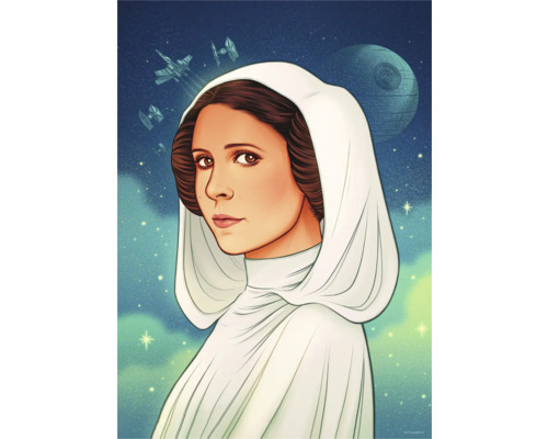 KOMAR Poster Star Wars - Princess of Alderaan 40x50 cm