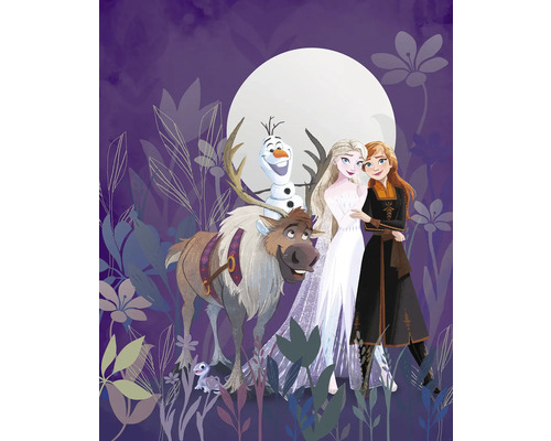 KOMAR Fotobehang vlies IADX4-092 Frozen Full Moon Hike 200x250 cm Illustratie met de personages Anna, Elsa, Olaf, Rendier Sven en hagedis Bruni uit de film Frozen voor een volle maan