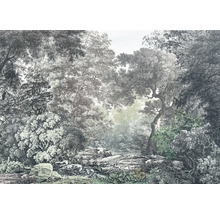 Bosbehang met bomen en planten
