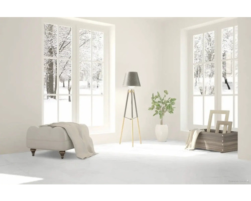 Lichte kamer met uitzicht op besneeuwde bomen, een voetenbank, een staande lamp en decoratie