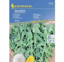 Kiepenkerl Paardenbloem Zadenpakket