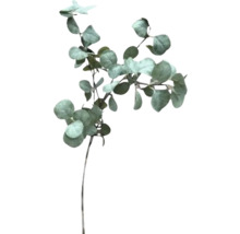 Eucalyptus kunstplant met ronde bladeren