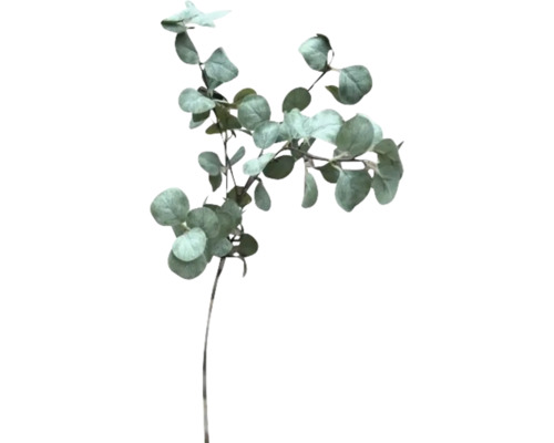Eucalyptus kunstplant met ronde bladeren