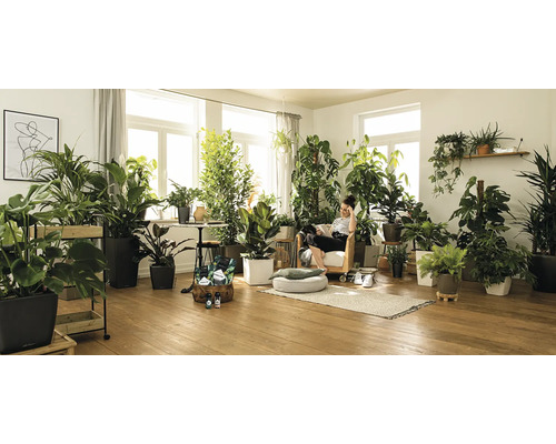 Woonkamer met kamerplanten en een persoon in een fauteuil.