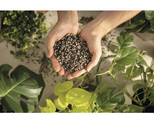 Handen houden hydrokorrels vast voor plantendecoratie