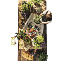 Tuinscène met planten, aarde en een persoon die planten in een houten tafel plant