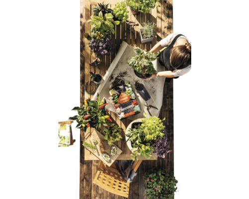 Bovenaanzicht van een houten tafel met diverse kruiden en groenten in potten, potgrond en een persoon die een plant verpot