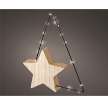 Decoratieobject met ster en LED-lampjes
