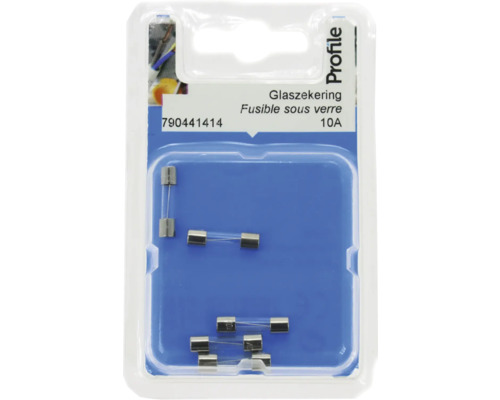 Glazen zekeringen 10 ampère in set