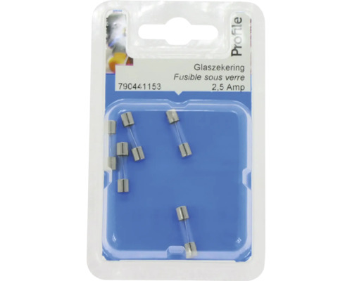 Glaszekering 2,5 Ampère