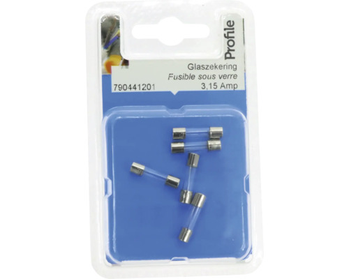 Glaszekering 3,15 Ampère