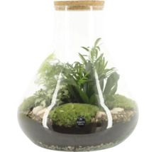 Terrarium met planten en kurkdeksel