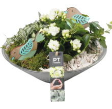 Plantenbak met Kalanchoë, mos en houten decoratie