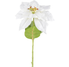 Kunst kerstster met witte bloemen