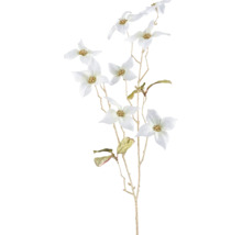 Decoratieve tak met witte bloemen voor binnen