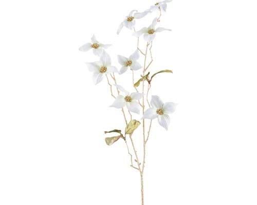 Decoratieve tak met witte bloemen voor binnen