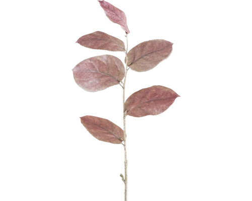 Kunstplant Salal tak Abrikoos H 64 cm