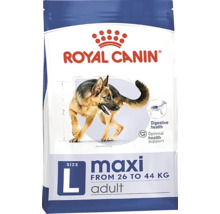 Royal Canin Maxi Adult droog hondenvoer voor honden van 26 tot 44 kilogram