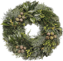 Decoratieve deurkrans met verschillende groene planten en kegels