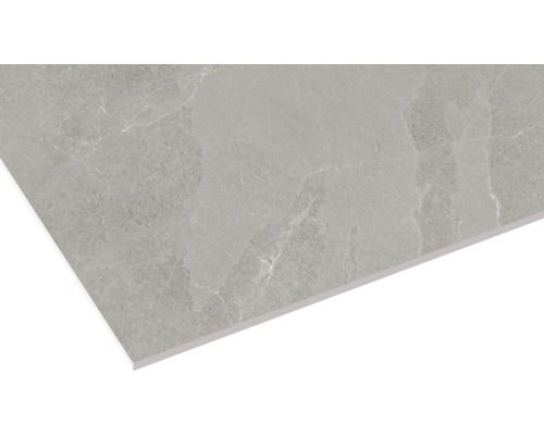 Tegel met steendecor