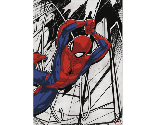 MARVEL Schilderij canvas Spider-Man 50x70 cm