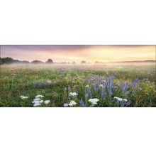 Ochtendlandschap met bloemenweide en mist