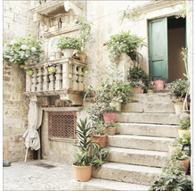 Decoratieve ingang van het huis met trap en veel bloempotten