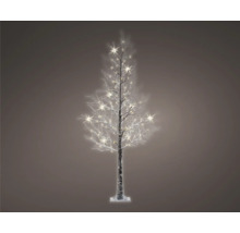 Decoratieve ledboom met takken en verlichting voor binnenshuis.