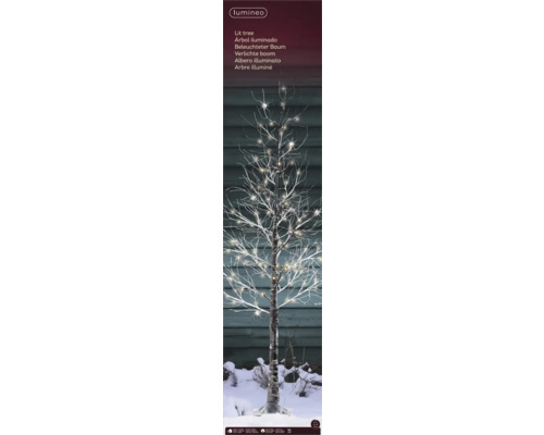 Verlichte boom met lichtjes voor binnen en buiten