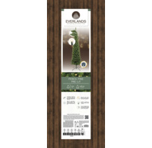 Verpakking van een slanke, verlichte, kunstmatige Everlands-dennenboom van 1,8 meter hoog