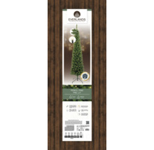 Verpakking van een verlichte Everlands Pencil Pine kunstkerstboom