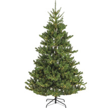 Versierde kerstboom met standaard