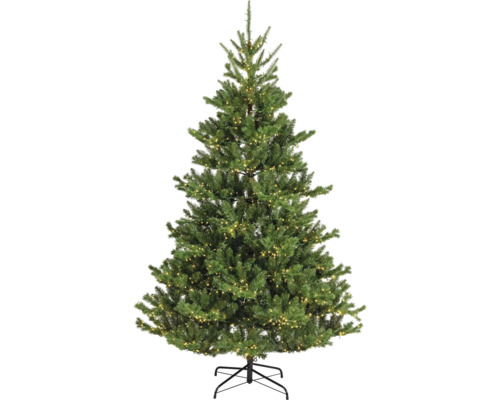 EVERLANDS Kunstkerstboom Alba met LED verlichting Ø 137 cm H 240 cm