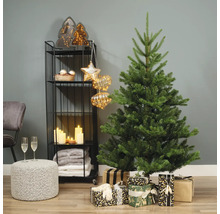 Kerst woonkamerdecoratie met kerstboom, cadeaus en rek