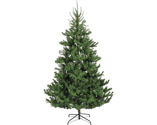 EVERLANDS Kunstkerstboom Alba Ø 116 cm H 180 cm