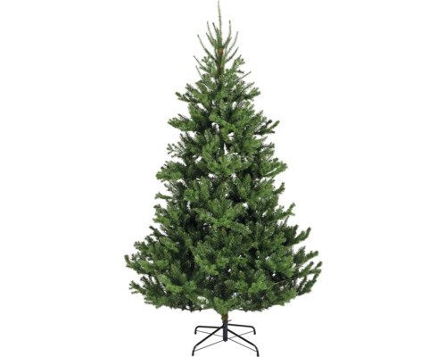 EVERLANDS Kunstkerstboom Alba Ø 127 cm H 210 cm