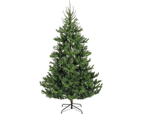 EVERLANDS Kunstkerstboom Alba Ø 176 cm H 300 cm