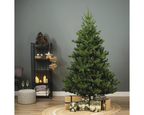 Decoratieve kerstscène met kerstboom en cadeaus op een vloerkleed