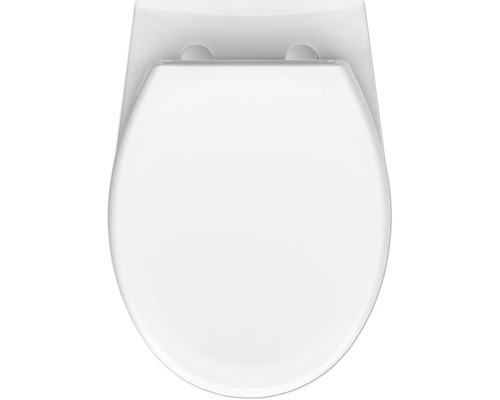 Toiletdeksel van bovenaf