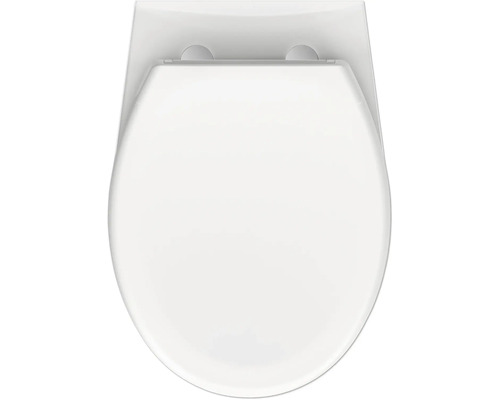 Doorsnede van een toiletbril van bovenaf