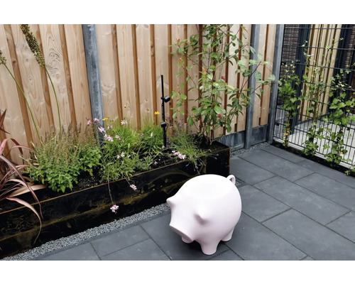 Tuin met verhoogde border, houten schutting, metalen hek met planten en roze spaarvarken