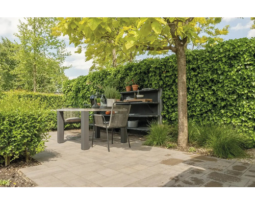 Zitgroep met tafel en stoelen in de tuin met plantenwand